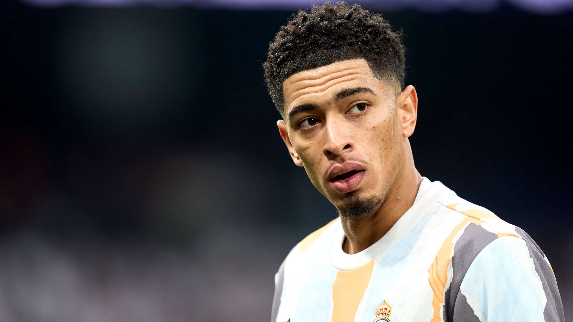 据了他总黄 据了他总黄