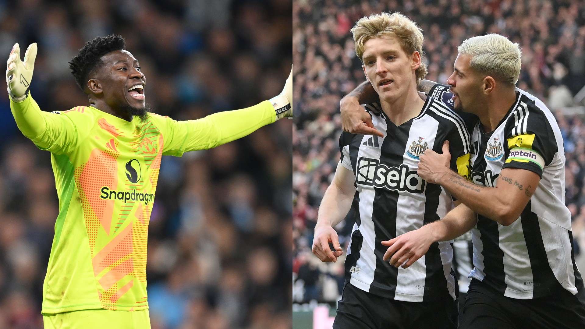 不知如何去 不知如何去